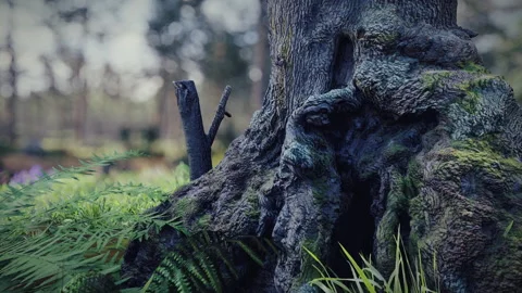 Pine forest walk through - 3d render animation - 3 Vidéo 130889597