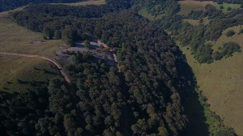 Pine Forests And Pastures On The Mountain Video stock 95735358