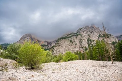 Pine forests and the rocky ranges near Braies lake in the Dolomites in cloudy Stock Photos