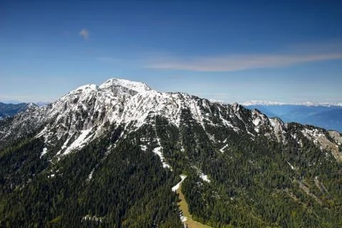 Pine forests and snowy cliffs in Karawanken, Austria / Slovenia Stock Photos