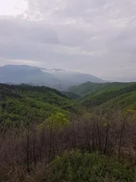 Pine forests extend down sloping terrain beneath a sky covered with clouds Stock Photos