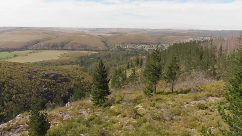 Pine forrest during a drought fly over with Swellendam in the background. Stock-Footage 143233586