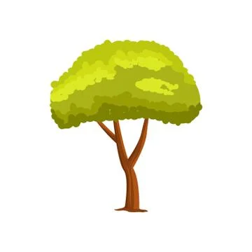 Pine green tree vector icon Stock Illustration