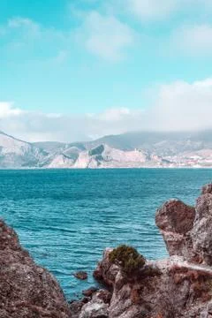 Pine growing on the rocks Stock Photos