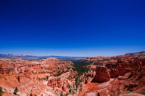 Pine gulch in typical Bryce canyon red sandstone Stock Photos