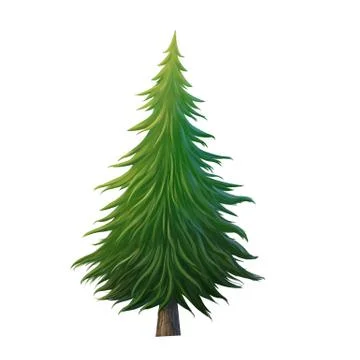 Pine Stock Illustration