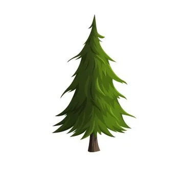 Pine Stock Illustration