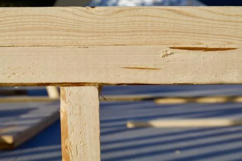 Pine Joint Left Foto stock