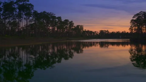 Pine Key Close up pan at Sunset Stock Footage 247739833