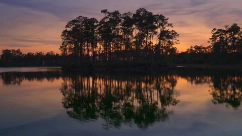 Pine Key Close up at Sunset Stock Footage 247738783
