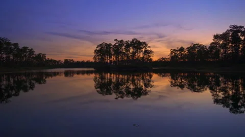Pine Key at Sunset Stock Footage 247738418