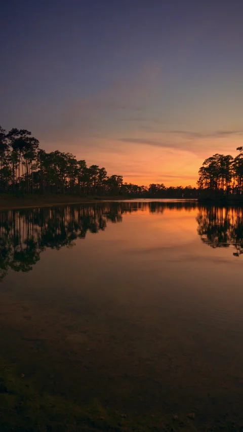 Pine Key at Sunset Vertical format Stock Footage 247740243