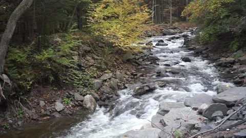 Pine Kill Rushing Water (1) Stock Footage 163167578