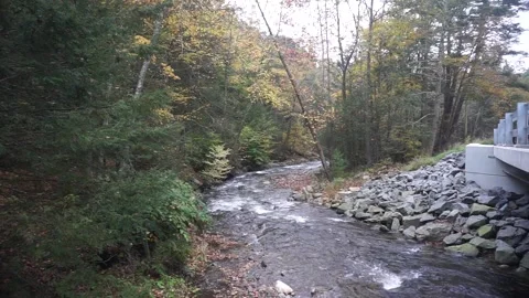 Pine Kill Rushing Water (2) Stock Footage 163167712