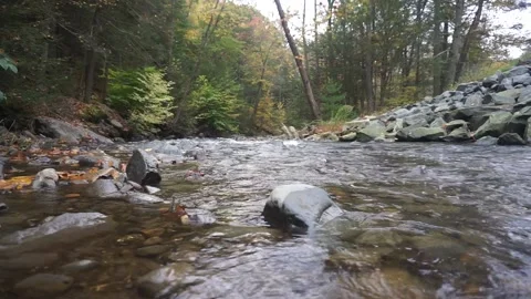 Pine Kill Rushing Water (3) Stock Footage 163168034