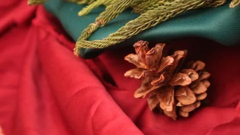 Pine leaves, dried pine, and gift box with red background. Concept of Christmas Foto stock