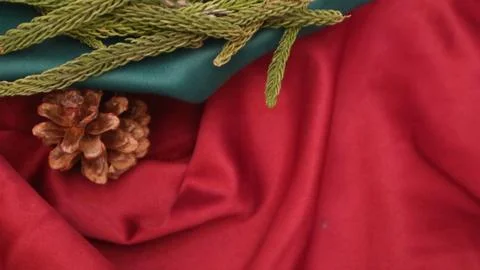 Pine leaves, dried pine, and gift box with red background. Concept of Christmas Stock Photos