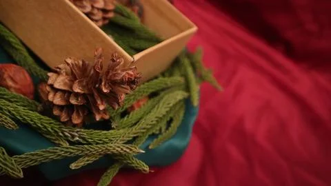Pine leaves, dried pine, and gift box with red background. Concept of Christmas Stock Photos