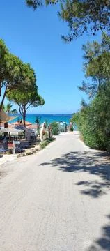 Pine-Lined Path Leads To Paradise Stock Photos