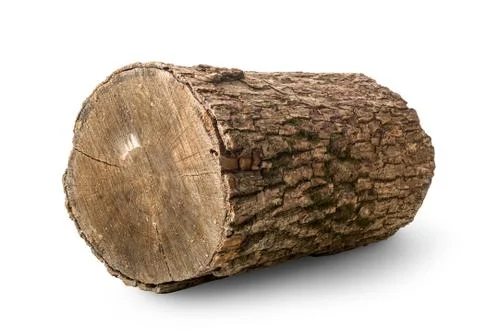 Pine log isolated Stock Photos