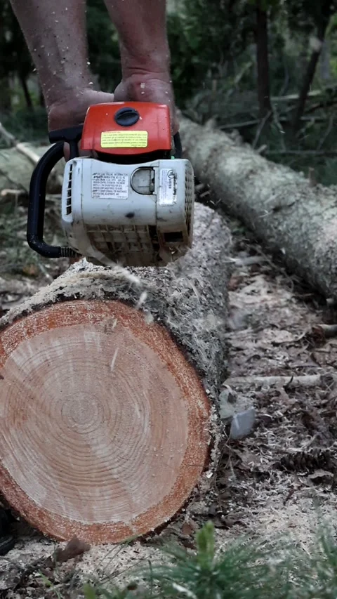 Pine Log Splitting with Chainsaw Stock Footage 274688784