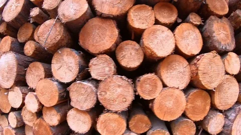 Pine logging, stove wood in stack closeup, woodwork industry Stock Footage 114909453