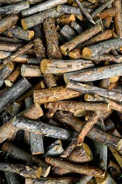 Pine logs of one size Stock Photos