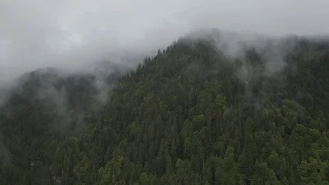 Pine Mist Mountain - DJI Mavic Pro 2 - 4K - 23.98 fps - Megeve, FRA Stock Footage 122332774