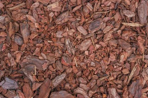 Pine Mulch Stock Photos