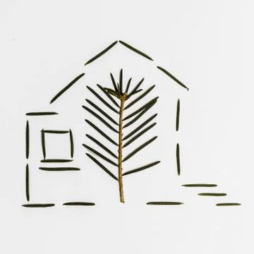 Pine needle and leaf in house shape Stock Photos