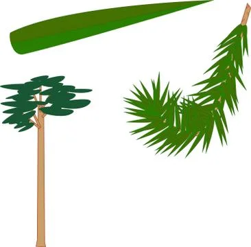 Pine. Needle, branch and tree. 스톡 일러스트