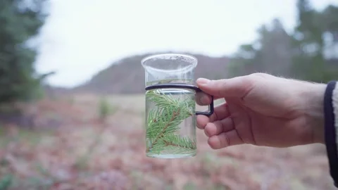 Pine Needle Tea - Man Holding Glass With Pine Needle For Tea. - close up Stock Footage 168802363