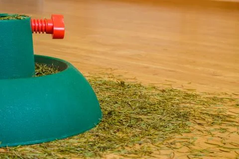 Pine needles from the Christmas tree Stock Photos