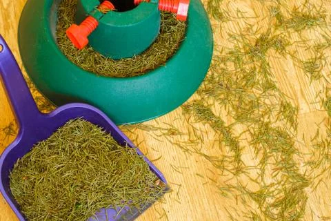 Pine needles from the Christmas tree Stock Photos