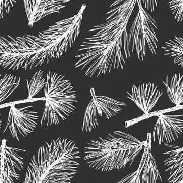 Pine needles vector hand drawn seamless pattern. Vintage style background. Bo Illustrazione stock