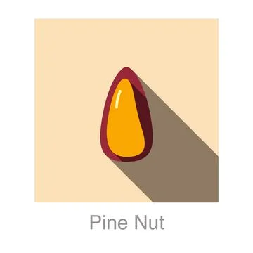 Pine nut flat icon, vector illustration Stock-Illustration