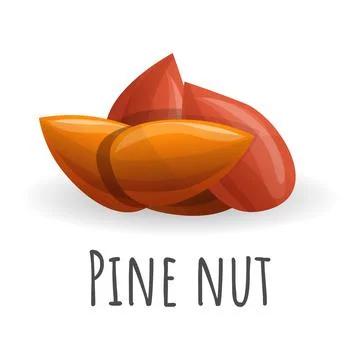 Pine nut icon, cartoon style Stock Illustration