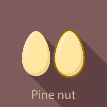 Pine nut icon, flat style Stock Illustration