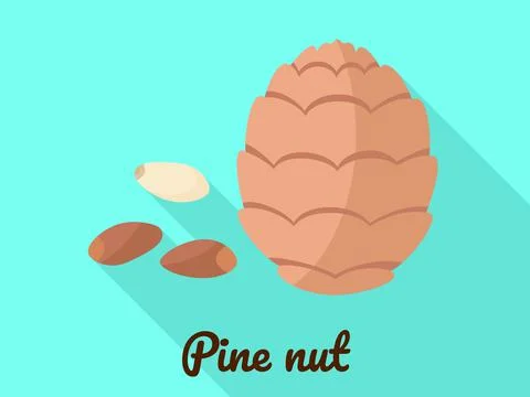 Pine nut icon, flat style Stock Illustration