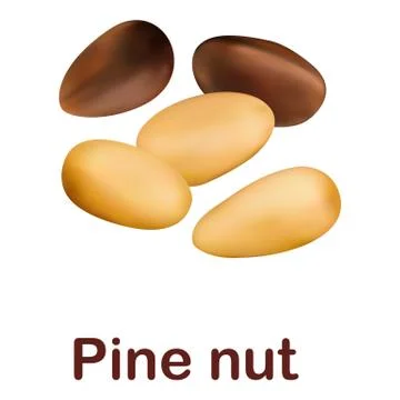 Pine nut icon, realistic style Stock Illustration