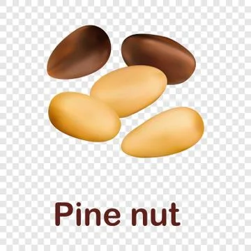 Pine nut icon, realistic style Stock Illustration