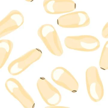 Pine nut Stock Illustration
