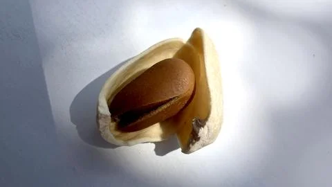 Pine nut inside pistachio shell on white background for concept use Stock Photos