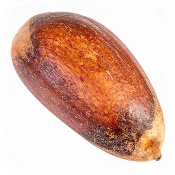 Pine Nut Isolated on White Background, Edible Seed from Conifer Representin.. Stock Photos