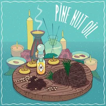 Pine nut oil used for aromatherapy Stock Illustration