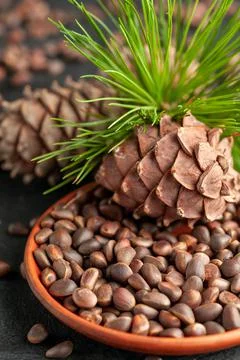 Pine nut in shell in a clay plate. Nearby are pine cones and needles. Close-u Stock Photos