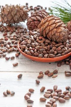 Pine nut in shell in a clay plate. Nearby are nuts, pine cones and needles. L Stock Photos