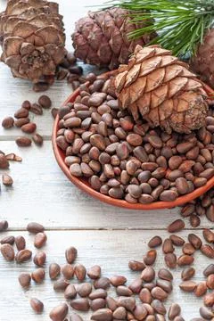 Pine nut in shell in a clay plate. Nearby are nuts, pine cones and needles. L Stock Photos