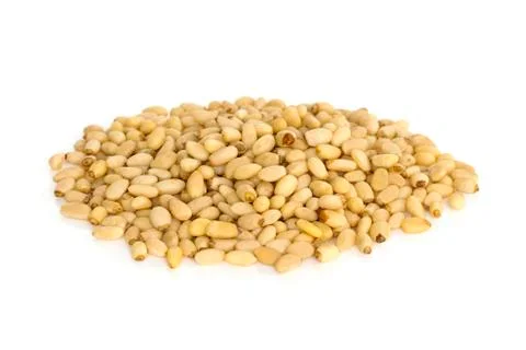 Pine nuts from above Stock Photos