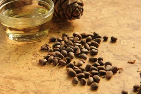Pine nuts and bottle of essential oil Stock Photos